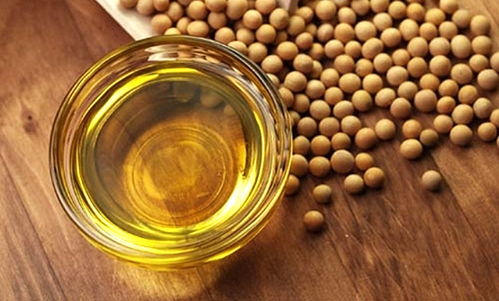 转基因大豆油 什么是转基因大豆油 危害 能吃吗 金投期货 金投网